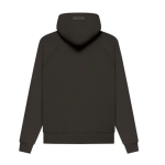 hoodie essentials (1)