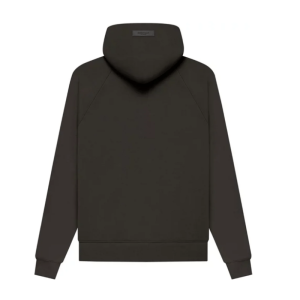 hoodie essentials (1)